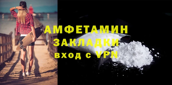 шишки Белокуриха