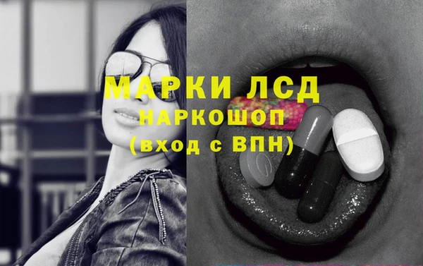 шишки Белокуриха