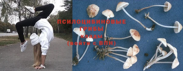 шишки Белокуриха