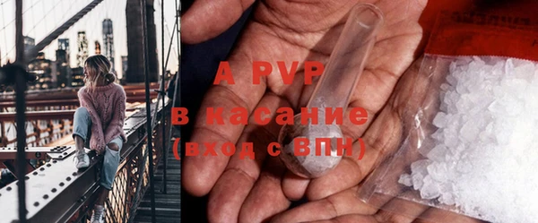 шишки Белокуриха